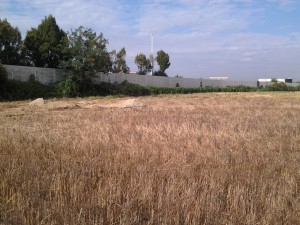 barriera autostrada