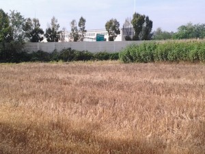 Casello di Terrazzano ripreso dal lato aresino  