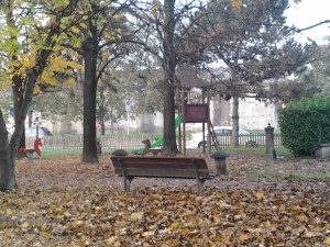 2015-11-10 08.34.40
